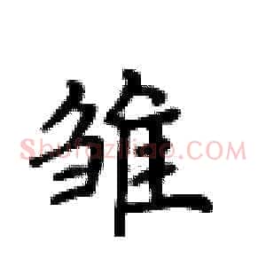 雏