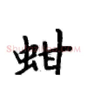 蚶