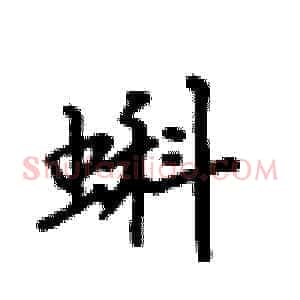 蝌