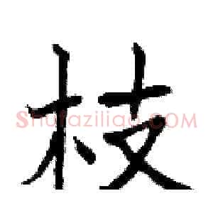 枝