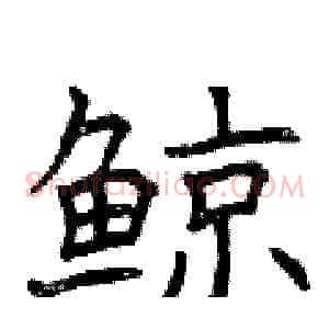 鲸
