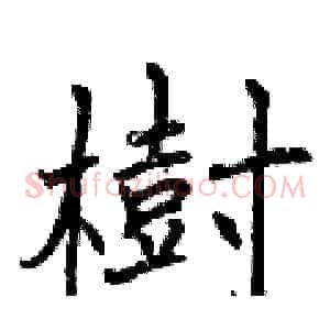 樹