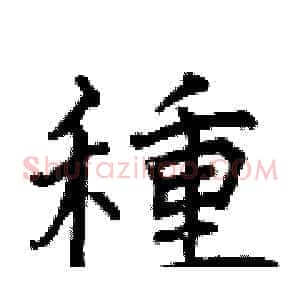 種