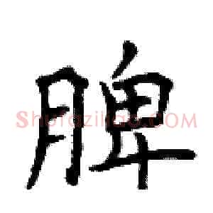 脾