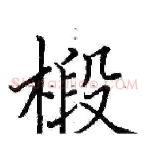 椴