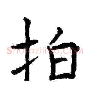 拍