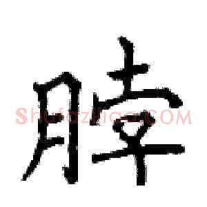 脖