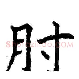 肘