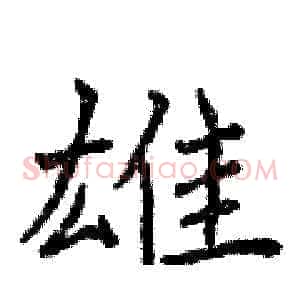 雄