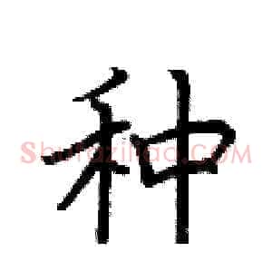 种