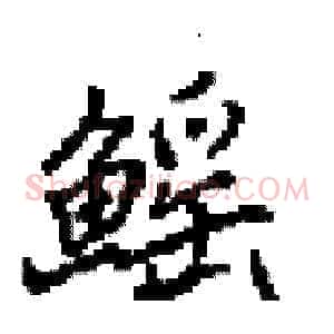 鰩
