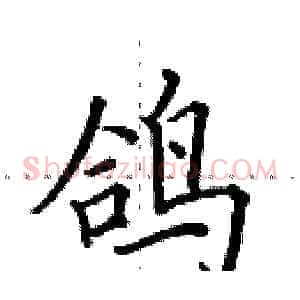 鸽