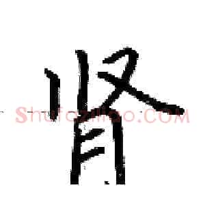 肾