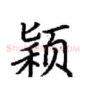 颖
