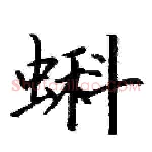 蝌