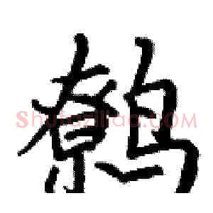 鹩