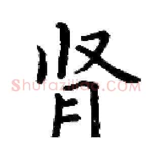 肾