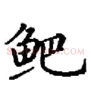 鲃