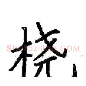 桡
