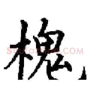 槐
