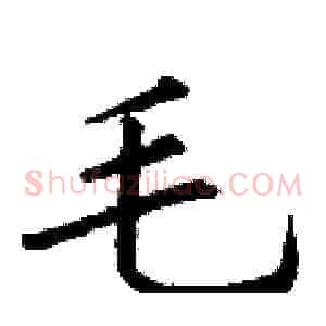毛