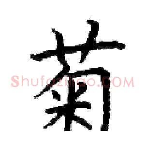 菊