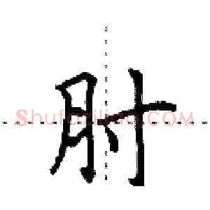 肘