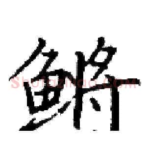 鳉
