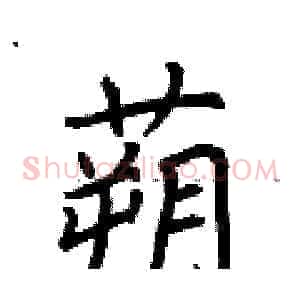 蒴