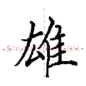 雄