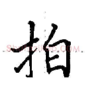 拍
