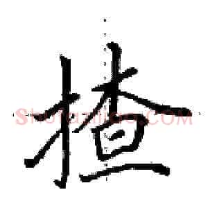 揸