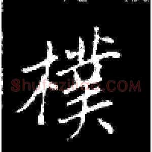 朴