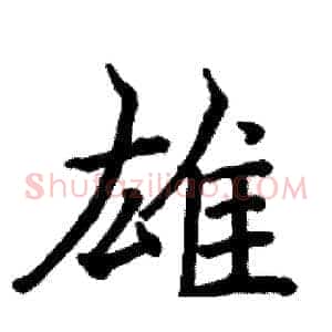 雄
