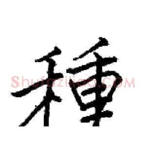 種