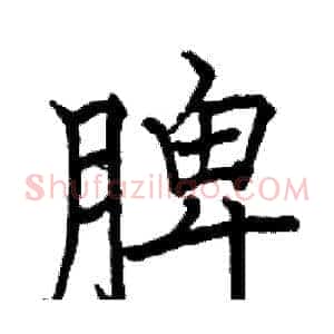 脾