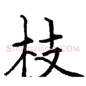 枝