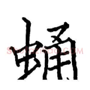 蛹