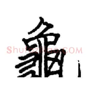 龜