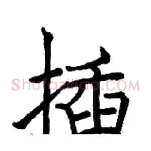 插