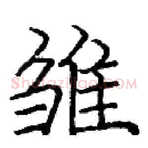 雏