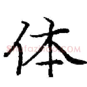 体