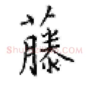 藤