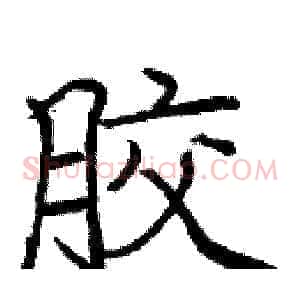 胶