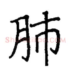 肺