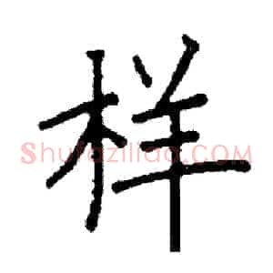 样