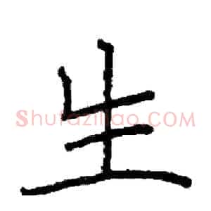 生