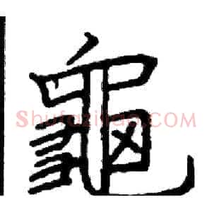 龜