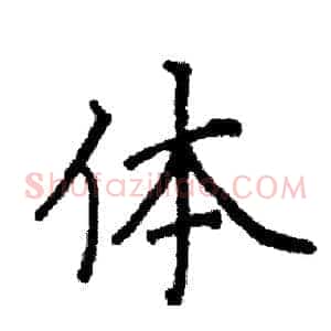 体