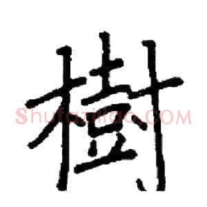 樹